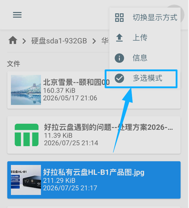 文件多选模式示意图